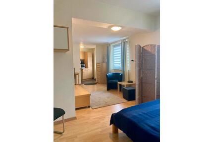 Möbliertes 1- Zimmer Apartment - 480,00&nbsp;EUR Kaltmiete, ca.&nbsp; 30,00&nbsp;m&sup2; in Wolfsburg (PLZ: 38448) Alt-Wolfsburg