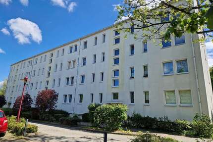 Wohnung zum Mieten in Glauchau 340,00 € 55.62 m²