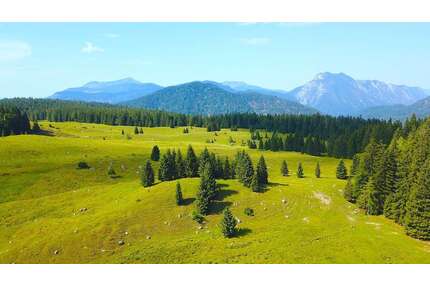 Grundstück in Reit im Winkl Obere Hemmersuppen-Alm 798.000,00 € 236700 m² - Reit im Winkl / Obere Hemmersuppen-Alm