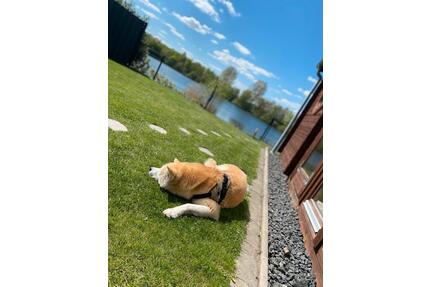 Ferienhaus am See,Hund ,Sauna, privatem Seezugang 31.05-07.06 - Kiel