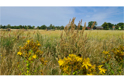 Haus zum Kaufen in Schönwald 321.990,00 € 108 m²