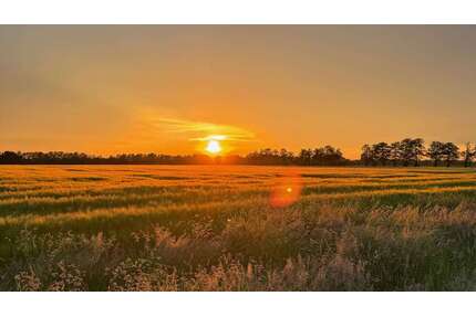 Grundstück zu verkaufen in Winsen (Luhe) 229.000,00 € 570 m²