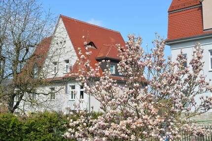 Wohnung zum Mieten in Meiningen 355,00 € 58.8 m²