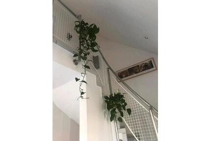 3,5 Zimmer Maisonette Wohnung+Dachspitze, zentral, 140 qm, Balkon - Walldorf