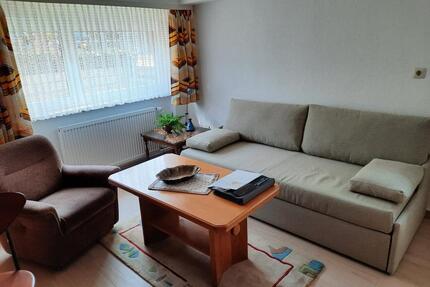 Möblierte u. renovierte 1 Zimmer-Wohnung, in guter Lage von Offenbach Bieber-West - Offenbach am Main