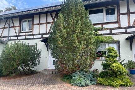 Schicke 3-Zimmerwohnung mit Einbauküche - Kelbra (Kyffhäuser)