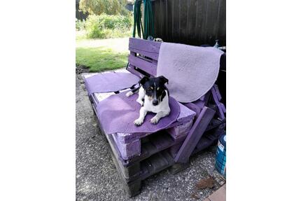 Haus am Bernsteinsee - 160.000,00&nbsp;EUR Kaufpreis, ca.&nbsp; 60,00&nbsp;m&sup2; in Sassenburg (PLZ: 38524)