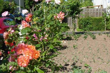 Schönes Eigentumsgrundstück als Erholungs- und Gartenfläche mitten in Bonn-Tannenbusch - einzäunen und wohlfühlen - eine Oase inmitten der Stadt