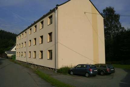 Wohnung zum Mieten in Niederschmiedeberg 225,00 € 58 m²