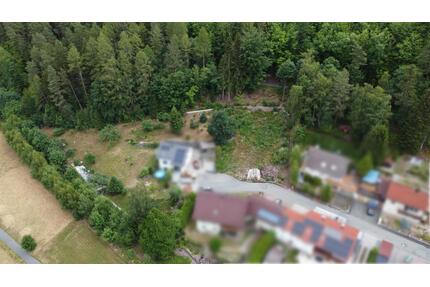 1.000 m² Baugrundstück in Sophienthal ohne Bauzwang - Weidenberg