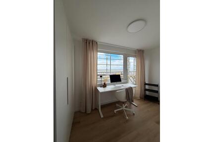 Erstbezug möbliertes, helles Penthouse mit 3 Zimmern Frankenthal - Frankenthal (Pfalz)