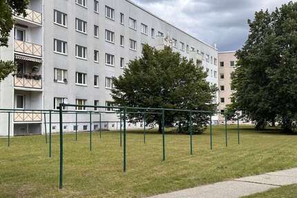 Wohnung zum Mieten in Bad Düben 390,00 € 70.7 m²