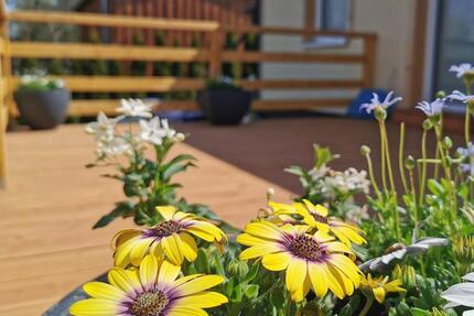 Ferienhaus Harzblüte - Der Frühling ruft - Ferienwohnung im Harz - Blankenburg (Harz)