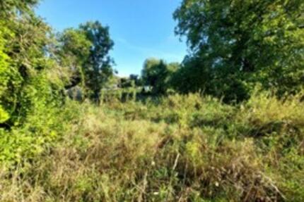 Idylisches Baumstück - 100,00&nbsp;EUR Kaltmiete, ca.&nbsp; 0,00&nbsp;m&sup2; in Schwaigern (PLZ: 74193)