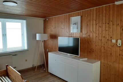 1 Zimmer Wohnung mit Terrasse an Firmen oder Privat zu vermieten - Hochdorf-Assenheim