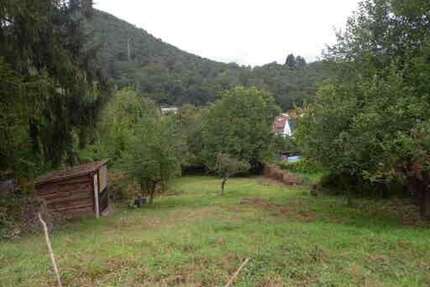 Grundstück zu verkaufen in Bad Dürkheim - Hardenburg 351.000,00 € 1170 m²