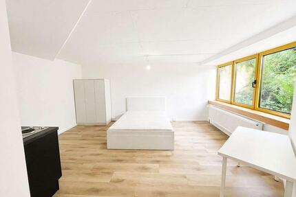 Möbliertes 1-Zimmer-Apartment in guter Lage - Mannheim Almenhof