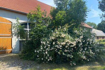 Provisionsfrei* Scheune mit Wohnteil - Groß Polzin