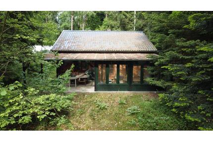 Charmantes Waldgrundstück mit Einfamilienhaus OHNE PROVISION - Hollenstedt