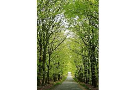 Wohnung zum Kaufen in Ullersdorf 352.870,00 € 99.4 m²