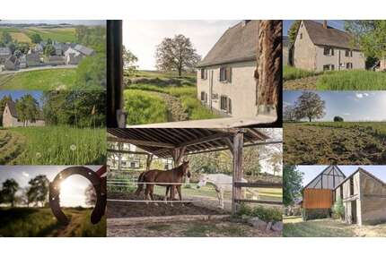 Haus zum Kaufen in Münstermaifeld 239.000,00 € 140 m²