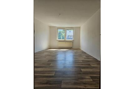 Perfekt für Singles oder Pendler - 1-Zimmer-Wohnung mit Balkon - Plauen Altstadt