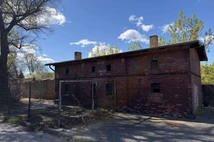 Grundstück zu verkaufen in Bad Freienwalde 39.000,00 € 600 m²