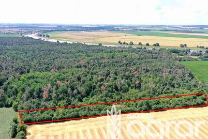 Grundstück in MühlbergElbe Fichtenberg 9.900,00 € 12250 m² - Mühlberg/Elbe / Fichtenberg