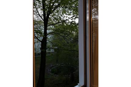 Internationale Wg - 830,00&nbsp;EUR Kaltmiete, ca.&nbsp; 14,00&nbsp;m&sup2; in München (PLZ: 80634) Neuhausen-Nymphenburg