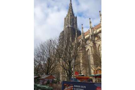 Wohnung zum Kaufen in Ulm 290.000,00 € 43.5 m²