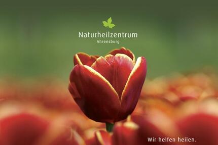 Schöne Praxisräume in Therapiezentrum - Ahrensburg