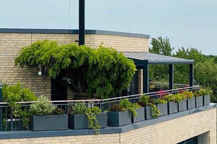 2,5 Zimmer Mietwohnung - 1.200,00&nbsp;EUR Kaltmiete, ca.&nbsp; 86,10&nbsp;m&sup2; in Langenhagen (PLZ: 30855) Engelbostel