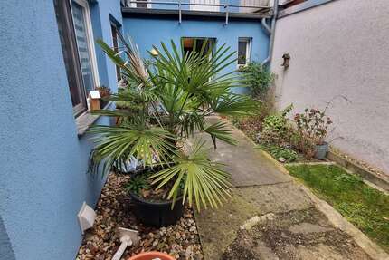 Wohnung zum Mieten in Krefeld 540,00 € 75 m²