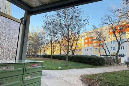 Wohnung zum Kaufen in Halle 89.000,00 € 51 m²