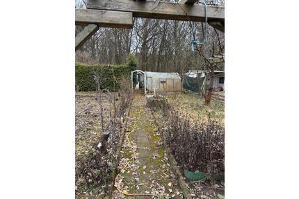 Kleingarten - 50,00&nbsp;EUR Kaltmiete, ca.&nbsp; 0,00&nbsp;m&sup2; in Hohenleipisch (PLZ: 04934)