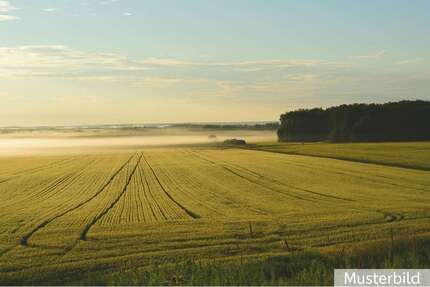 Grundstück zu verkaufen in Engden 499.000,00 € 49206 m²