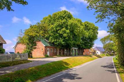 Haus zum Kaufen in Pellworm 645.000,00 € 600 m²