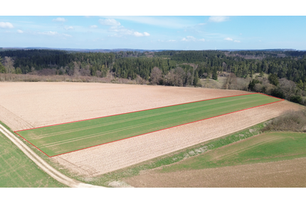 Grundstück in Böhmfeld 92.300,00 € 7100 m²
