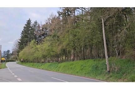 Größ Garten , Grundstück , Bäume zum fällen - Saarbrücken West