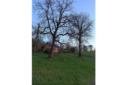 Wochenendhaus Ferienhaus Tinyhaus Selbstversorger Nutzgarten - Odenthal