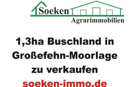 Buschgrundstück in Moorlage zu verkaufen HF2308a - Großefehn Aurich-Oldendorf