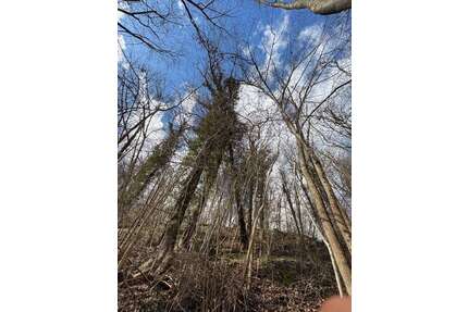 Grundstück zu verkaufen in Neckartenzlingen 5.500,00 € 2123 m²