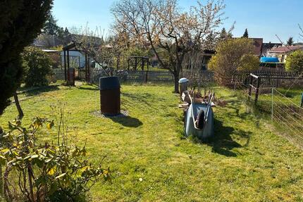 Kleingarten Lohmen, Kleingartenverein - Pirna