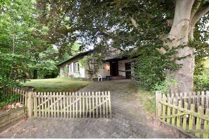 Haus zum Kaufen in Mölln Auf der Heide 249.000,00 € 96.58 m² - Mölln / Auf der Heide