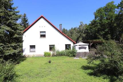 Großzügiges Einfamilienhaus mit großem Grundstück & Waldanteil in Theeßen