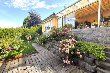 Haus zum Kaufen in Dresden 850.000,00 € 535 m²