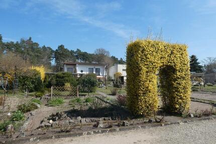 Kleingarten (Pacht) in gepflegter Anlage abzugeben - Bad Liebenwerda