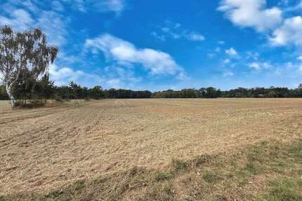 Grundstück in Neustadt 457.000,00 € 36454 m²