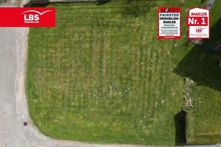 Kompaktes Baugrundstück - hier kann Ihr Traum vom Eigenheim beginnen... - Barntrup Alverdissen