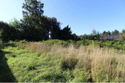 Grundstück zu verkaufen in Penig 49.500,00 € 1424 m²